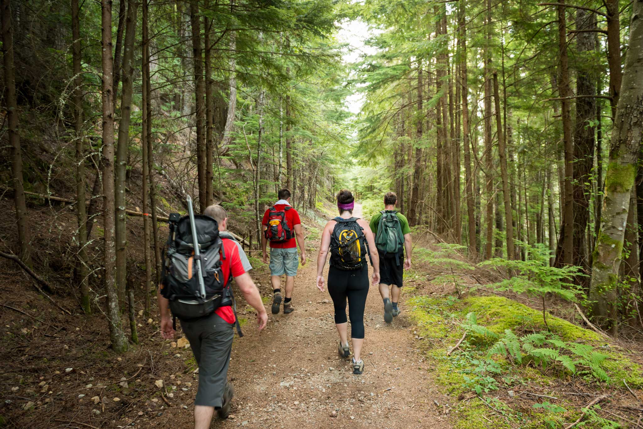 hiking healthy living live at mccormick